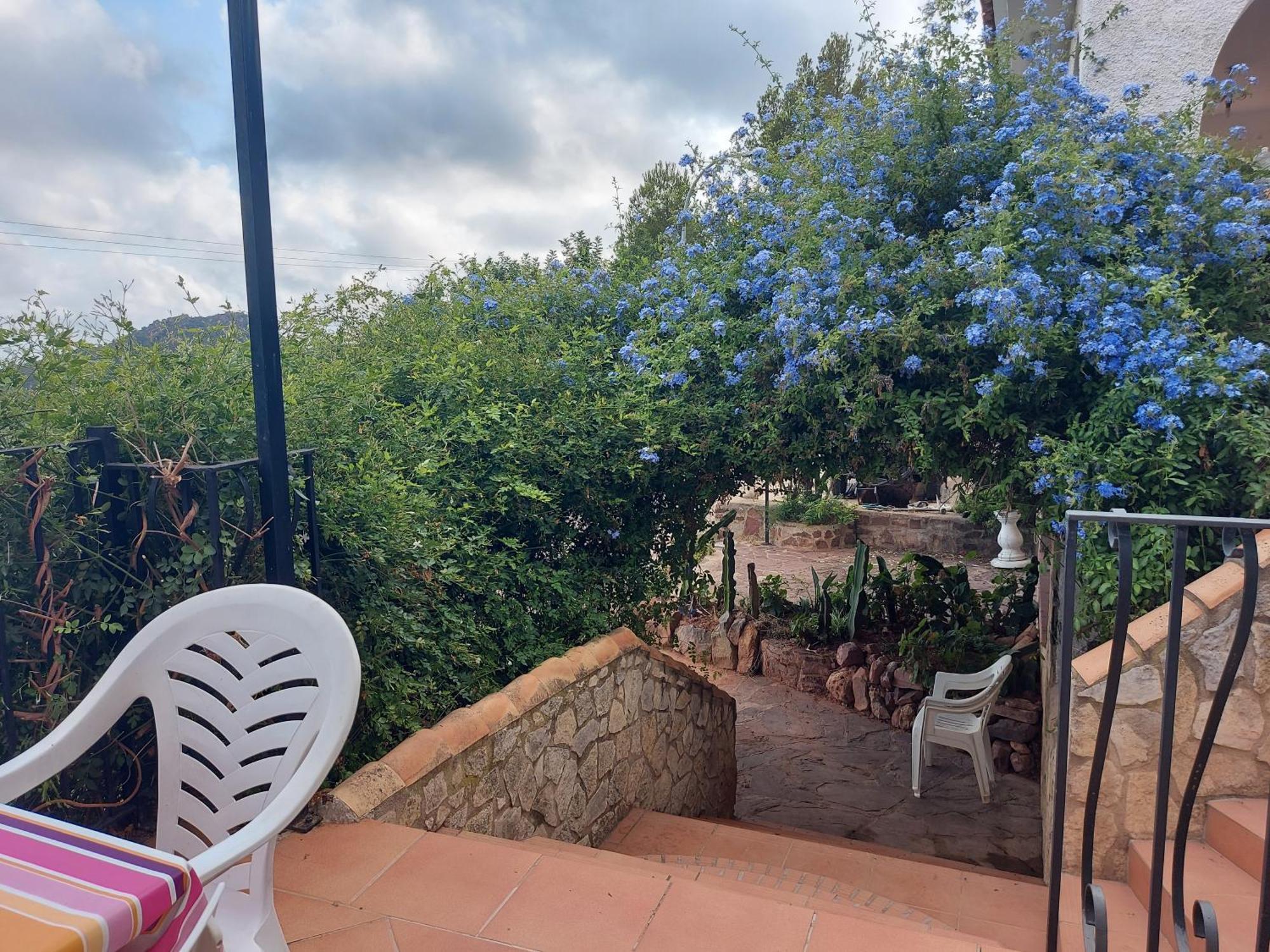 Benicàssim Apartamentos Christina מראה חיצוני תמונה